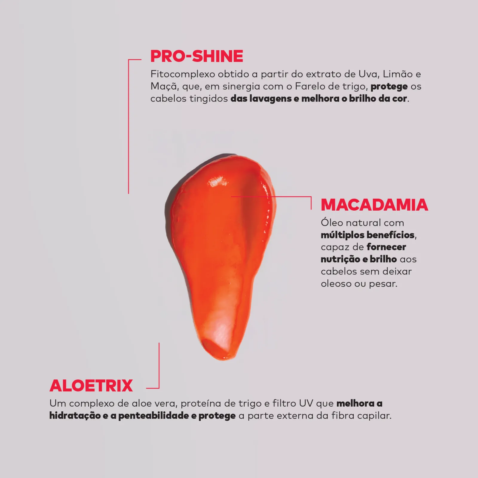 Ingredients_colorcare_mask_PT